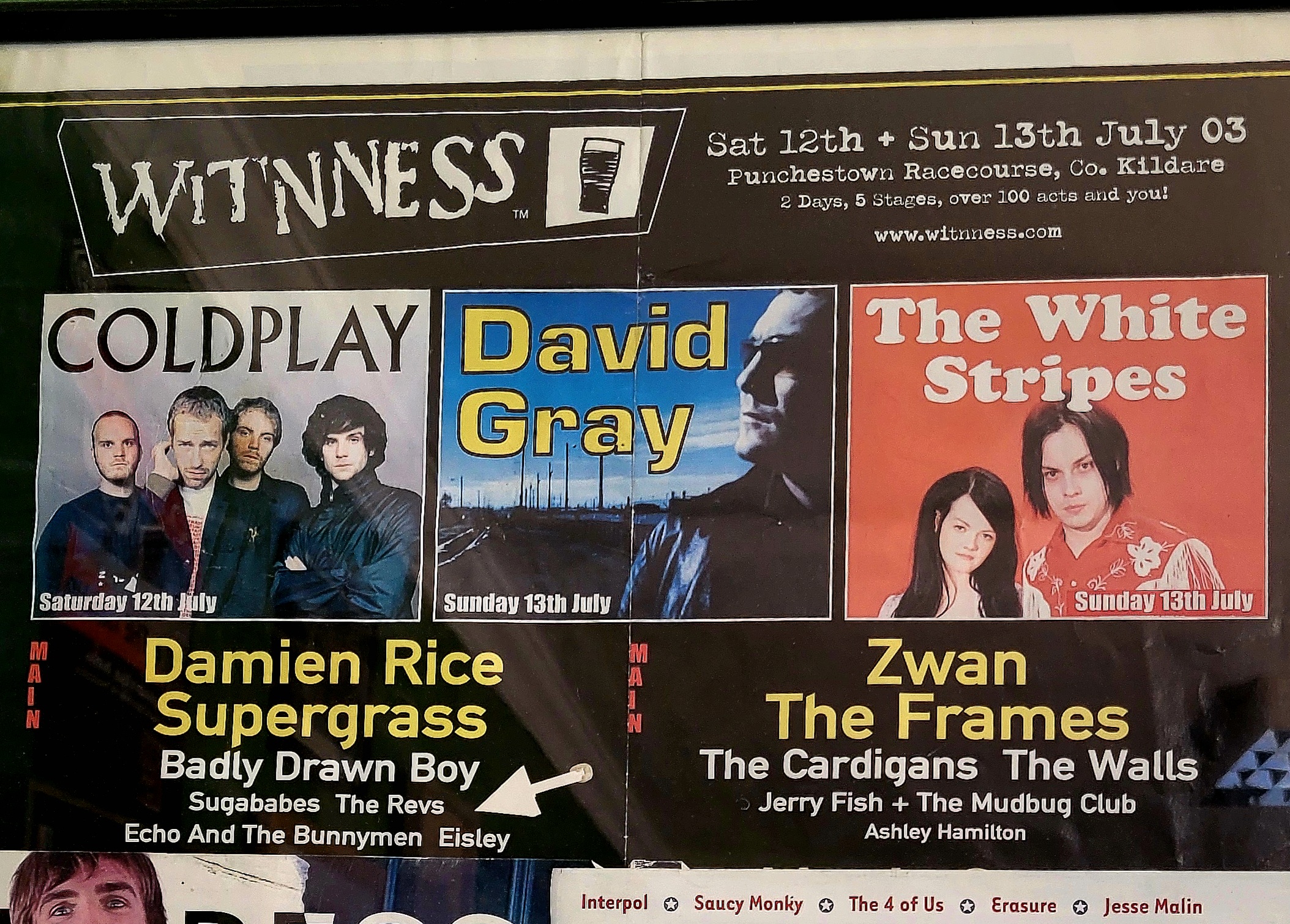 Witness